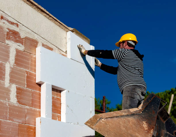 Best Insulation Contractors for Homes  in Kekoskee, WI