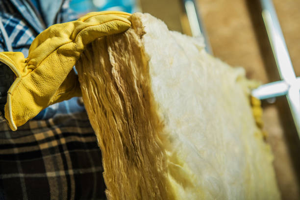 Best Affordable Insulation Services  in Kekoskee, WI