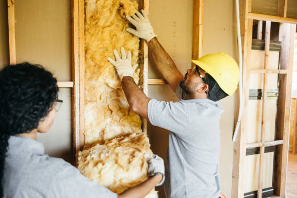 Best Insulation for New Construction  in Kekoskee, WI
