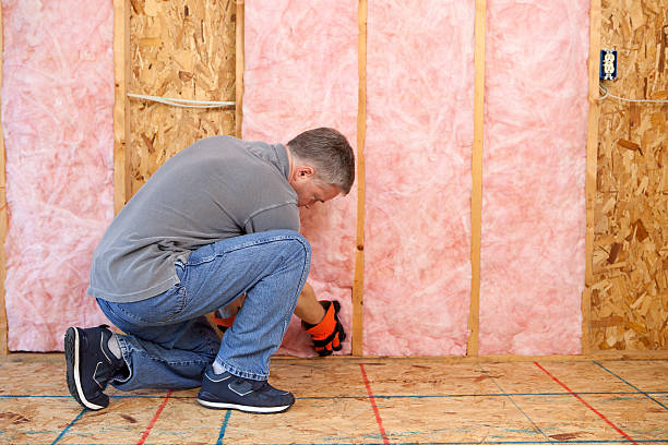 Best Residential Insulation Services  in Kekoskee, WI